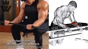 How To Build Your Biceps Triceps Forearms Workouts