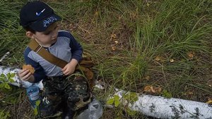 У сынульки отличное чутье на грузди, набрали целый пакет.