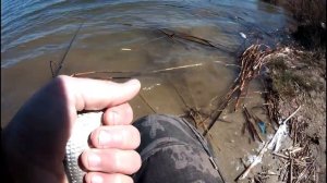 видео из архива 9