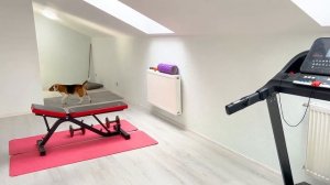 КОТ И СОБАКА ЗАНЯЛИСЬ СПОРТОМ. БРОС ШОУ ПЕТ