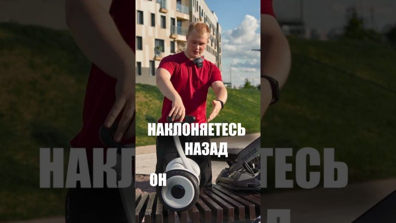 Что такое сигвей