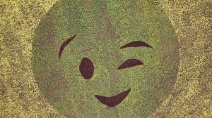 Парк ГАЛИЦКОГО.mp4