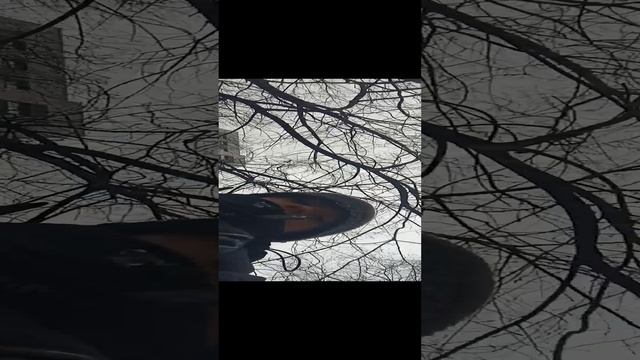 типичное утро смотреть онлайн