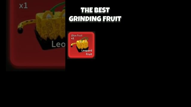 The Best Grinding Fruits In Blox Fruits #bloxfruits #bloxfruit