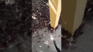 Makita DUB 186Z 18volt in Dreumel.