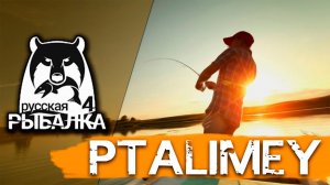 Ловим хвостатуюРусская рыбалка 4Russian Fishing 4