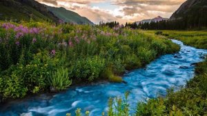 Звуки природы! Журчание ручья! Пение птиц! Песня воды! Звуки воды!