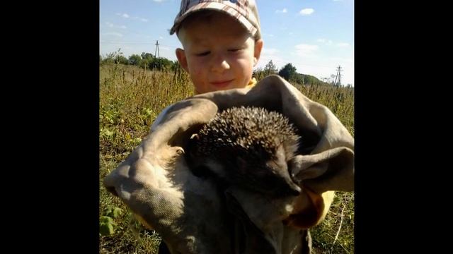 Бедный ёжик. Поём с доцей. 1.09.2022 смотреть онлайн