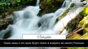📖 Сура 75 📌 Аль-Кийама (Воскресение) 📢 Чтец Салим Баханан.