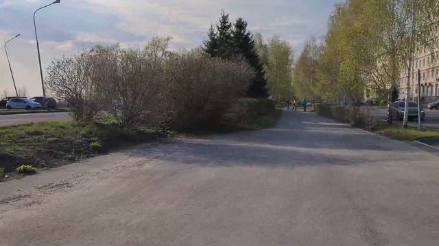 Сибирские просторы.Теплые денечки. Цветет медуница!