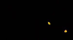 Футаж. Листопад - осенние листья 2.