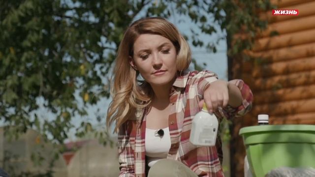 Малина красная! Всем любителям ягод посвящается смотреть онлайн