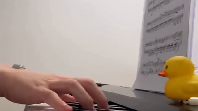 에반게리온 피아노 커버 a cruel angels thesis piano cover смотреть онлайн