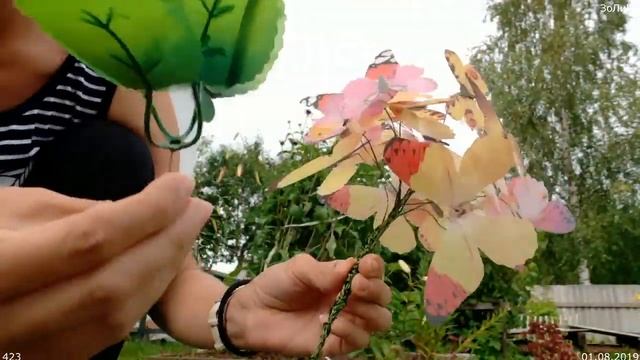 423.Простой букет из бабочек! 01.08.2019. ЗоЛиКс смотреть онлайн