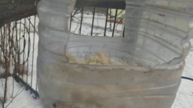 Птицы..... Помогите им зимой! смотреть онлайн