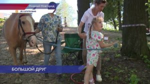 Уникальный проект по иппотерапии для детей с ОВЗ запустили в Нижнем Новгороде