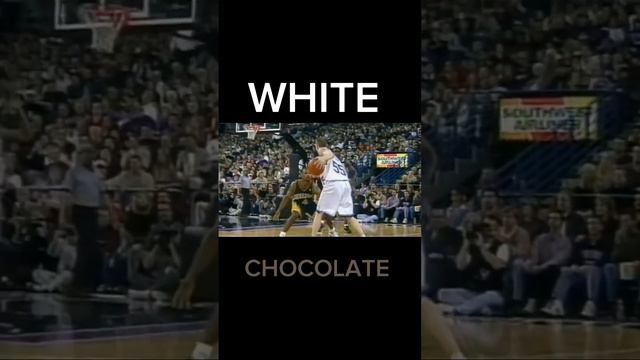 AI Magical Passes: A Compilation of Jason Williams' Smoothest Assists in NBA History"