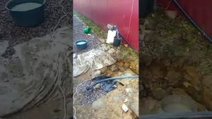 Скважина на суглинке после 2-х дней борьбы дала 2 т/час чистой воды