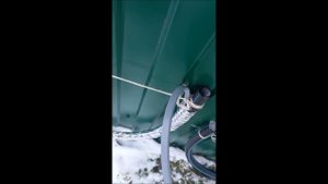 Cаморегулирующийся греющий кабель на трубу пнд без утепления, часть 1.