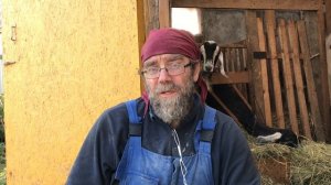 Каких выбрать коз в хозяйство? Ответы на вопросы подписчиков экофермы ЛПХ Фроловых