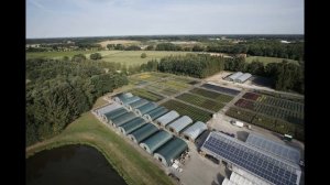 Helmers Containerbaumschule in Mansie