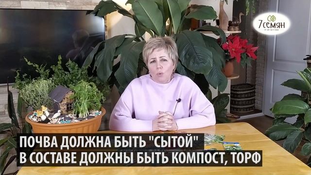 СВЕЖАЯ ЗЕЛЕНЬ, ПРЯНЫЕ ТРАВЫ И ОВОЩИ! УРОЖАЙ ВСЮ ЗИМУ! Делаем огород на подоконнике / 7 семян