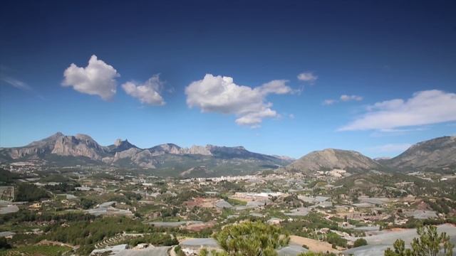 Nísperos Ruchey - Nísperos de Callosa d'en Sarrià смотреть онлайн