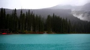 Ольга опешила, когда увидела на пороге квартиры свою свекровь. У них в семье произошло важное...