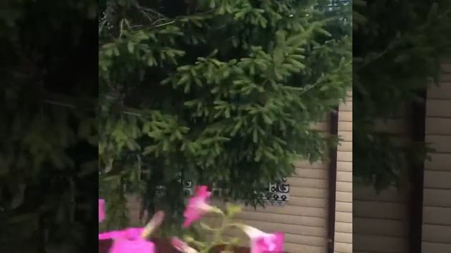 Наличники из металла. смотреть онлайн