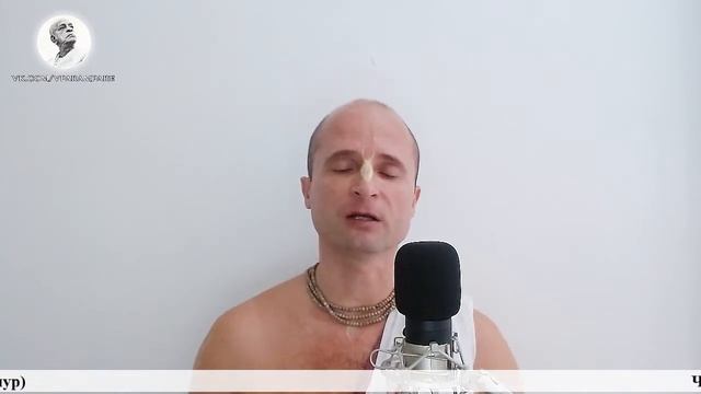 Чаитанйа-валлабха дас – ч 4: Настроение по отношению к трансцендентному знанию (2020.07.26, Майапур смотреть онлайн