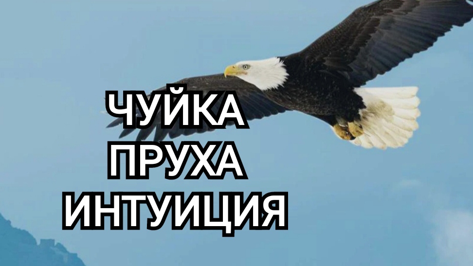 Слово чуйка. Чуйка мем. Мем радость. Чуйка кафтан. Слово чуйка.