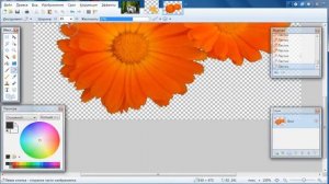Paint Net делаем прозрачный фон