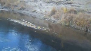 Аэролодка самоделка с мотором Лифан 13 лс