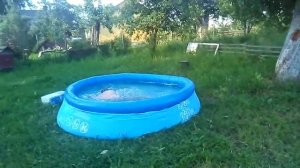 Как правильно прыгать в бассейн ?