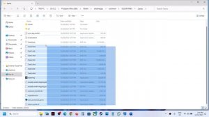 Fix Elden Ring Application Error 0xc0000142/Untrusted System File dinput8.dll Error On PC