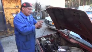 Раковина в канале ХХ. Ока .