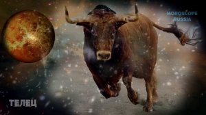 Общая Характеристика Знака Зодиака Телец