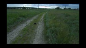Природа Саратовской области