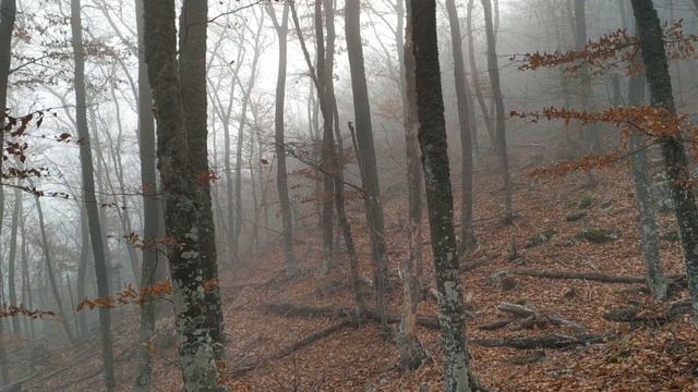 Выход за пределы Тумана. Гора Парагильмен Осенью