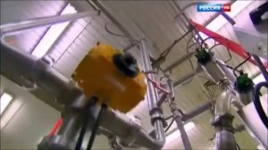 Мамонтов - Пальмовые берега 1