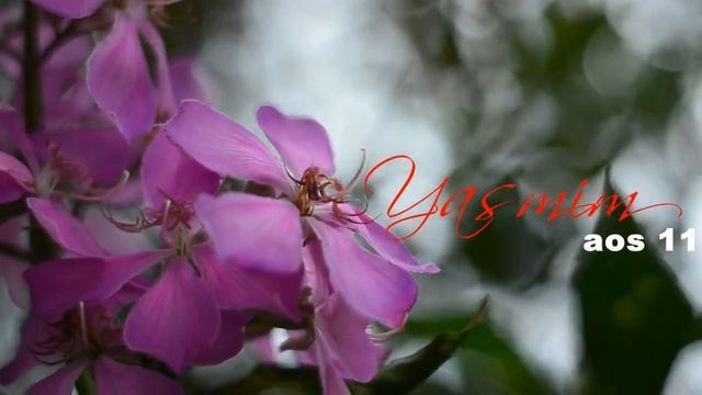 REVIEW NIKON D5100 2020 смотреть онлайн