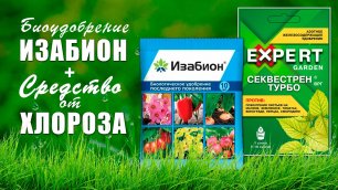 Эффективное биоудобрение и отличное средство от хлороза растений