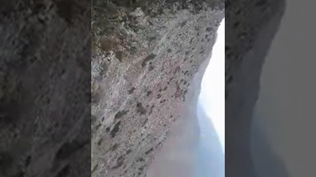 кеклик куропатка 29 октябр2020 смотреть онлайн