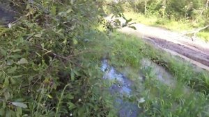 д Ольговка - зеленая фабрика (итатка) 2015 кавасаки клх250