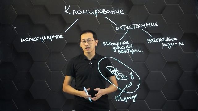 Свойства плазмид и их использование в генетическом клонировании. 11 класс.