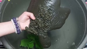 Чистка на полнолуние от родовых проклятий, порч на судьбу, гордыни, обратного хода колеса, аварий.