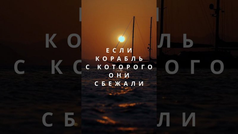 Крысы на корабле #цитаты #мудрость #крысы #ecowisdom