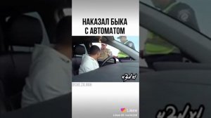 Наказал быка с автоматом