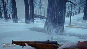 ЛАГЕРЬ БРАКОНЬЕРОВ. ДОРОГА К ВОДОПАДАМ ВОРОНА ● The Long Dark: ERRANT PILGRIM