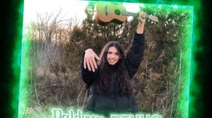 Paldovey - птица 《speed version.》